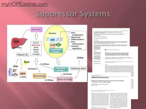 Cancer Class 8 - Vitamin D Dr. Kevin Conners