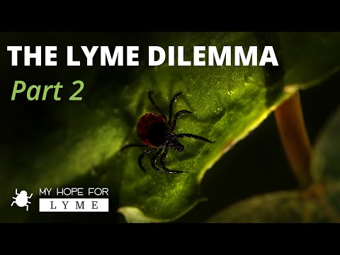 The Lyme Dilemma - Part 2 - Dr. Kevin Conners | Conners Clinic