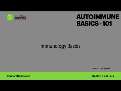 Immunology Basics with Autoimmune Disease | Conners Clinic