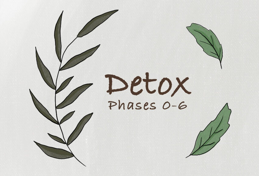 7 Phases of Detox | Conners Clinic